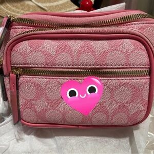 Designer inspired Fanny pack